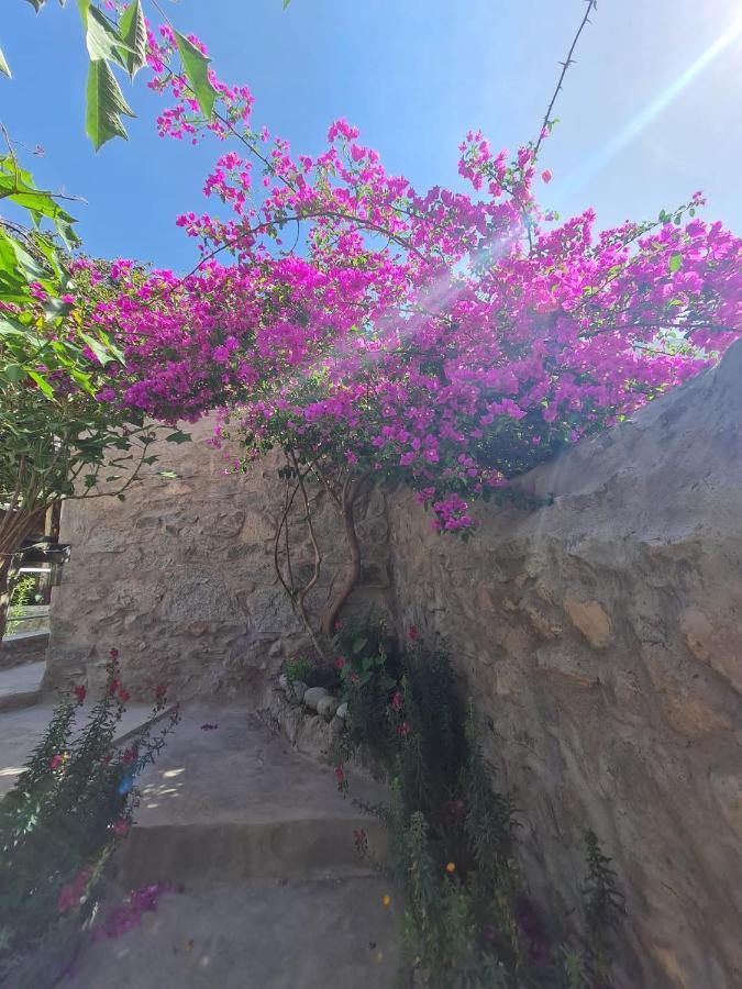 Casa De Virginia Βίλα Cabanaconde Εξωτερικό φωτογραφία