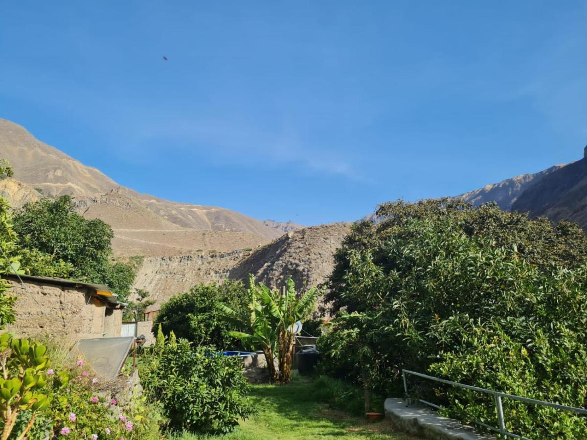 Casa De Virginia Βίλα Cabanaconde Εξωτερικό φωτογραφία