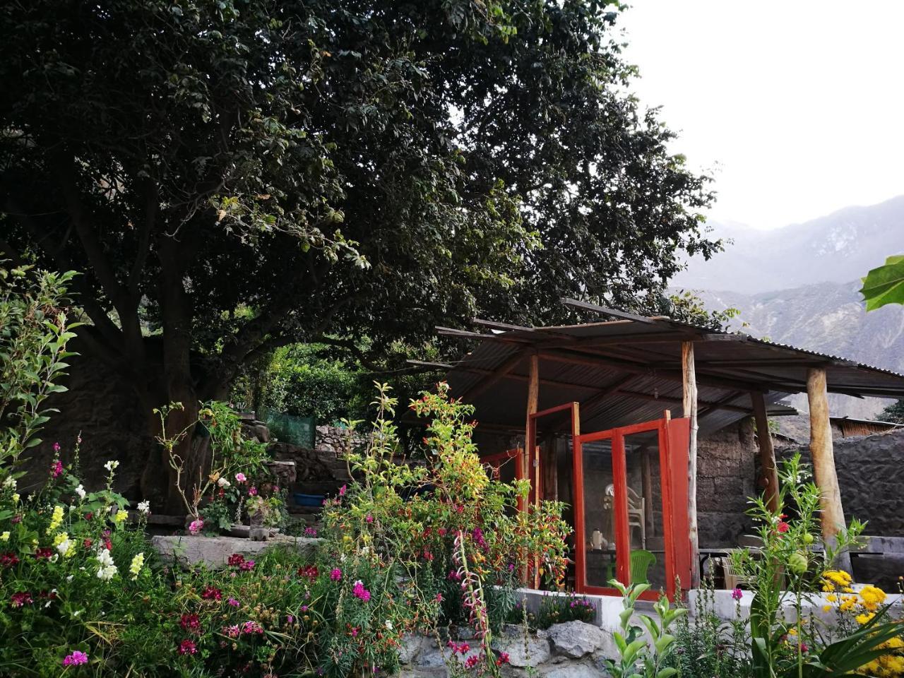 Casa De Virginia Βίλα Cabanaconde Εξωτερικό φωτογραφία